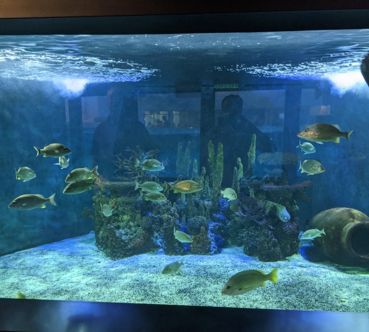 Aquarium of Niagara (Niagara&nbspFalls,&nbspNY)
